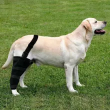 Dog Knee Brace Support  Acl14