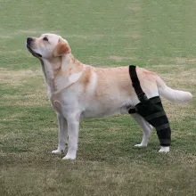 Dog Knee Brace Support  Acl13