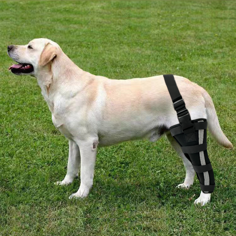 Hinged Dog Leg Brace02