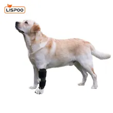 No Knuckling Training Sock For Dogs00