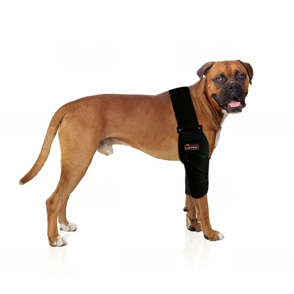 Dog Double Elbow & Shoulder Brace00