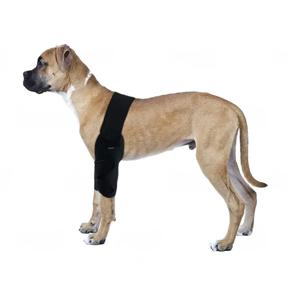 Dog Double Elbow & Shoulder Brace08