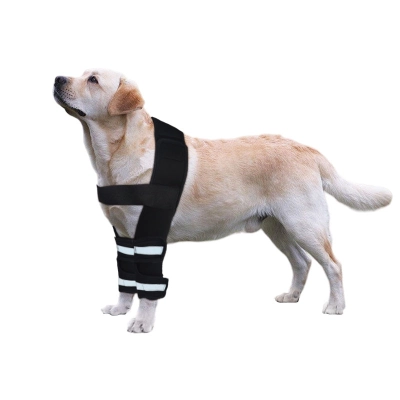 Hinged Dog Shoulder for Brace