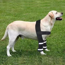 Hinged Dog Shoulder for Brace09