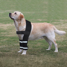 Hinged Dog Shoulder for Brace08