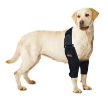 Dog Double Elbow & Shoulder Brace07