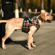 Dog Support Harness Front End10