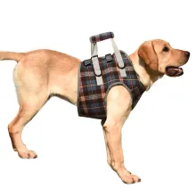Dog Support Harness Front End02