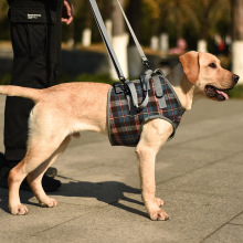 Dog Support Harness Front End11