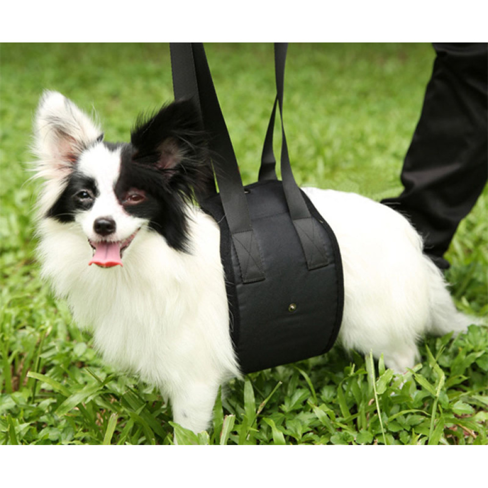 Dog Support Sling10