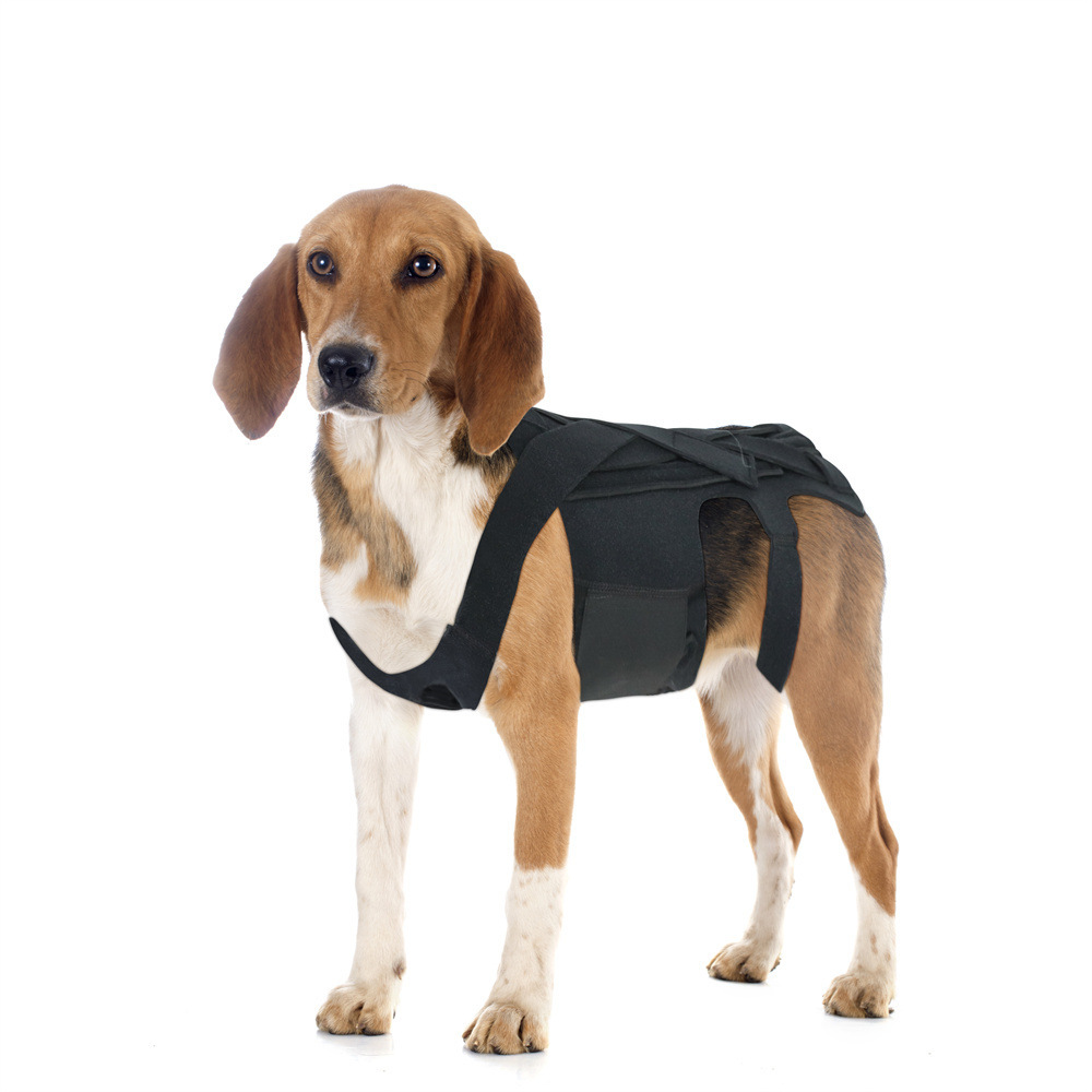 Lightweight Dog IVDD Back Brace08