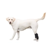 Dog Hock Wrap Braces Protector