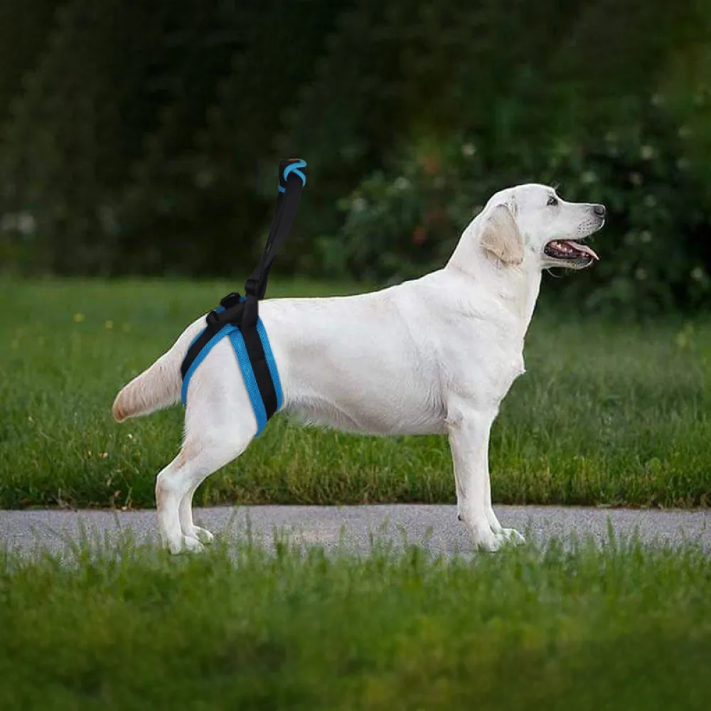 Dog Rear Harness Lifting with Handle08