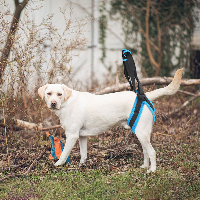 Dog Rear Harness Lifting with Handle09