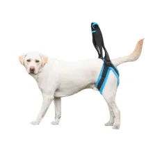 Dog Rear Harness Lifting with Handle00