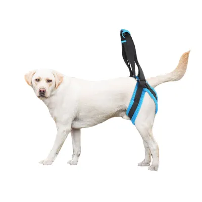 Dog Rear Harness Lifting with Handle 01