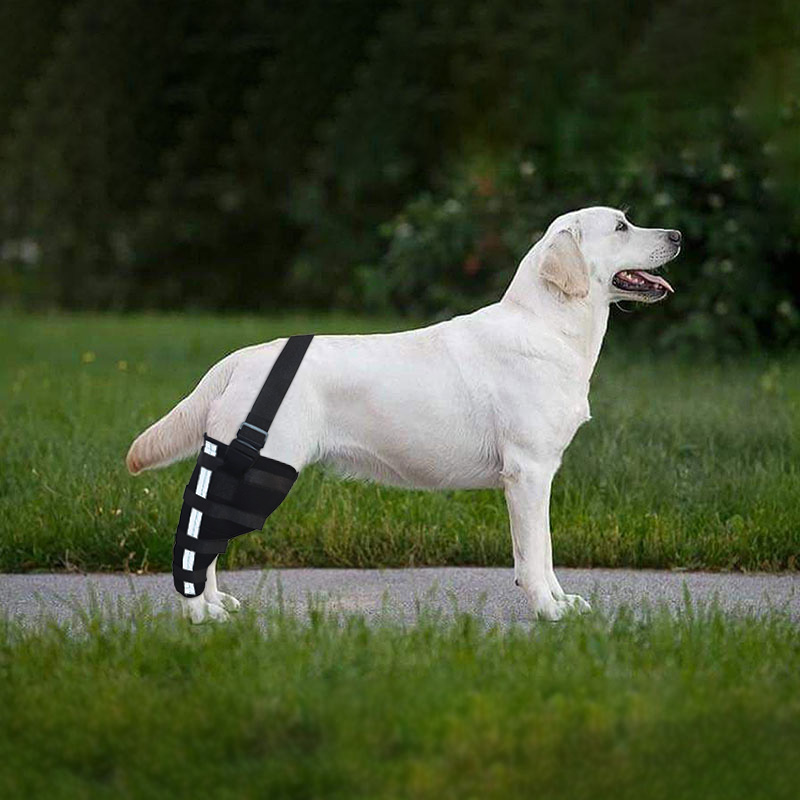 Hinged Dog Leg Brace03