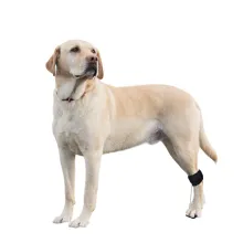 No Knuckling Training Sock For Dogs01
