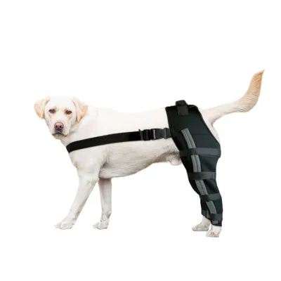 Dog Double Hind Legs Support 01