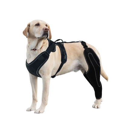 Metal Splint Hinge Dod Knee Brace for ACL 01