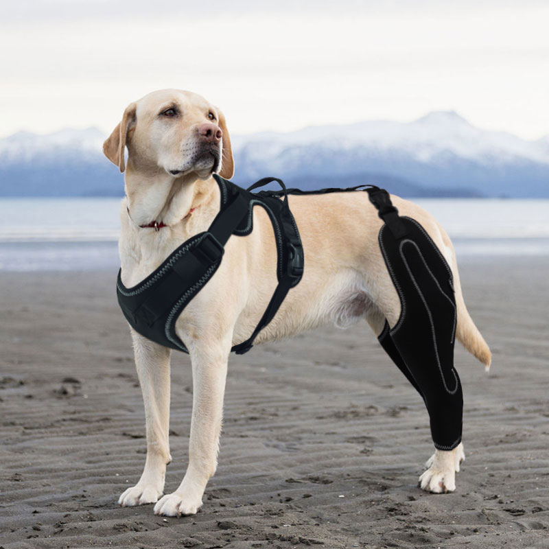 Metal Splint Hinge Dod Knee Brace for ACL08