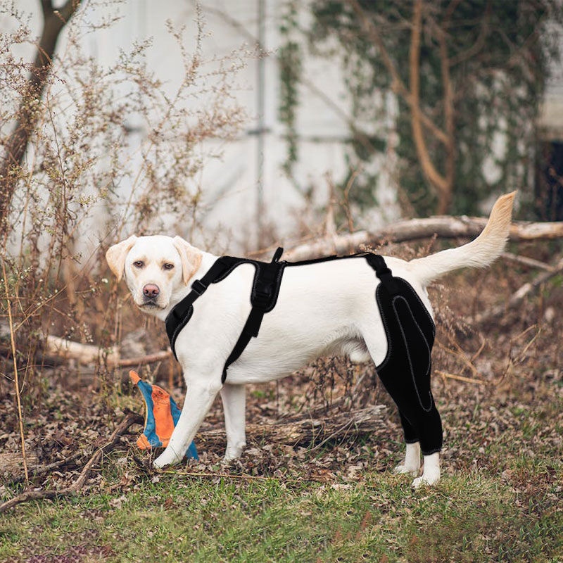 Metal Splint Hinge Dod Knee Brace for ACL09