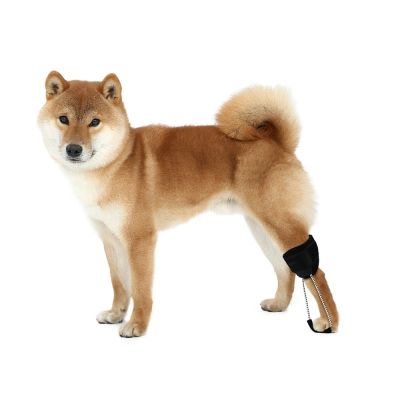  Dog No-Knuckling Brace 02