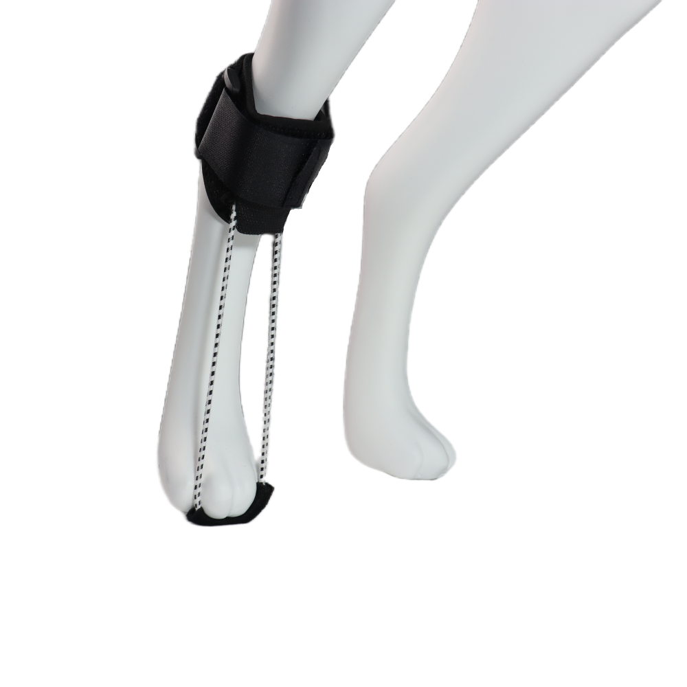  Dog No-Knuckling Brace07