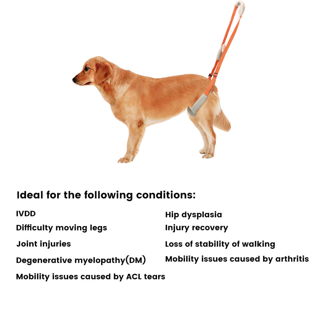 Dog Back Harness05