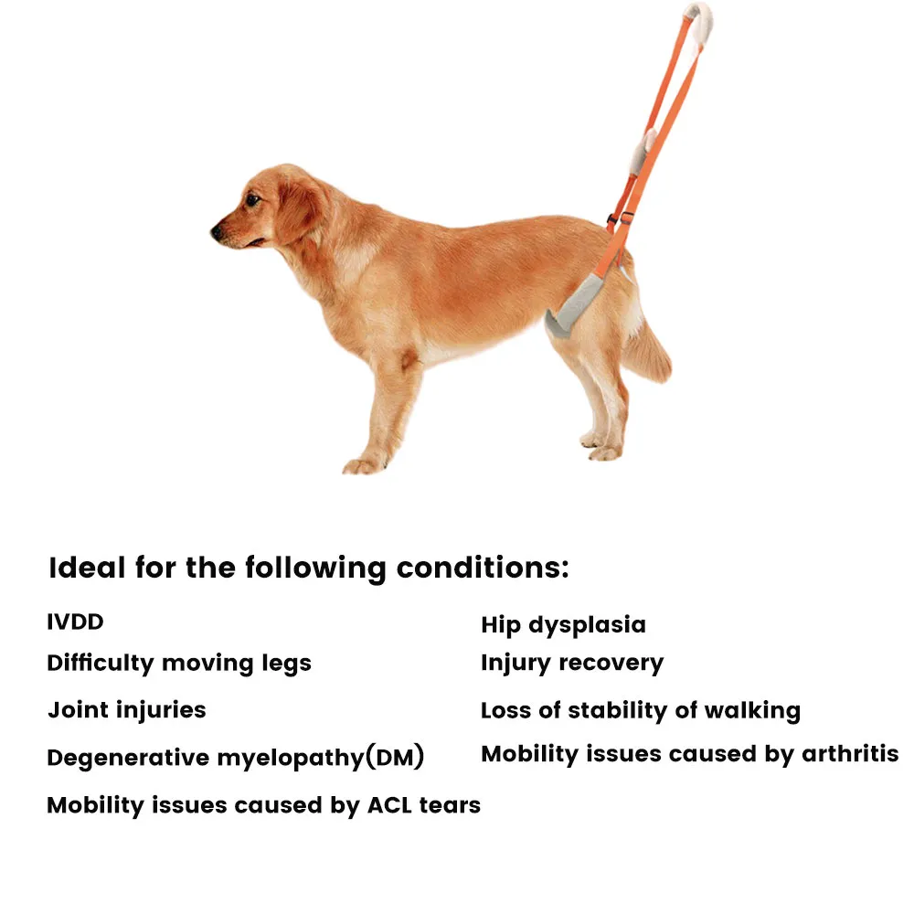 Dog Back Harness05