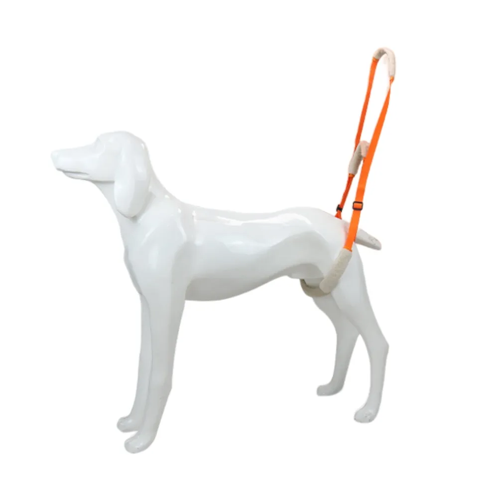 Dog Back Harness01