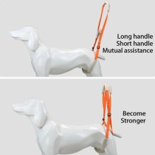 Dog Back Harness04