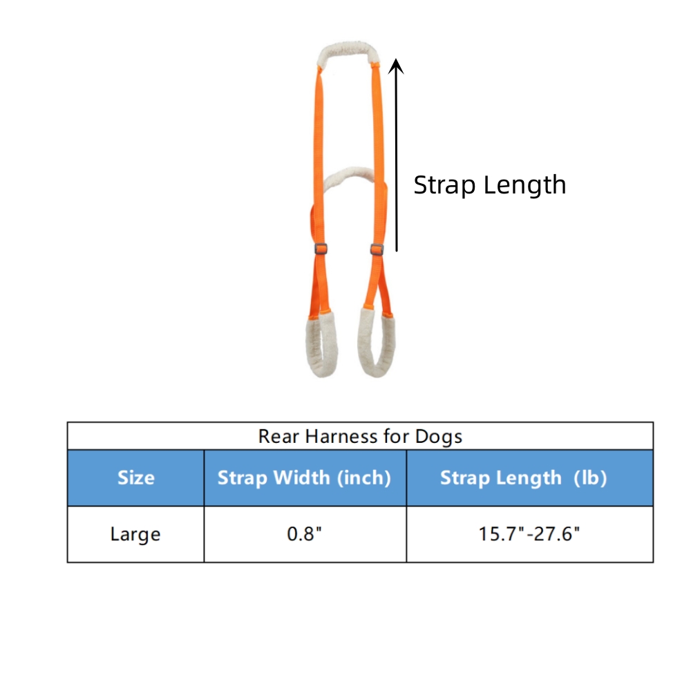 Dog Back Harness06