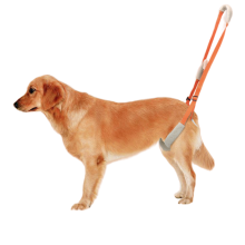 Dog Back Harness00