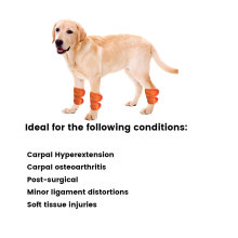 Dog Brace for Hock Carpal 01
