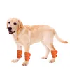 Dog Brace for Hock Carpal 