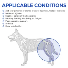 Dog Double Hind Legs Support02