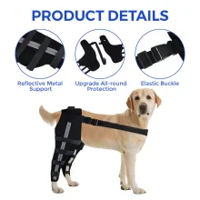 Dog Double Hind Legs Support03