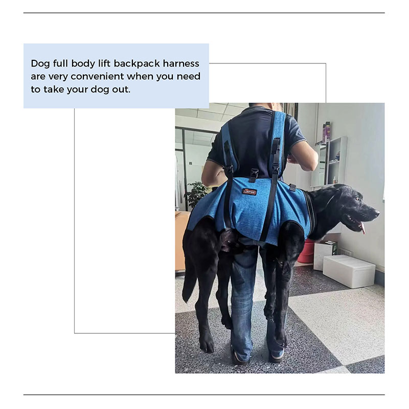 Dog Full Body Lift Harness with Handle04