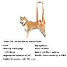 Dog Hind Leg Harness01