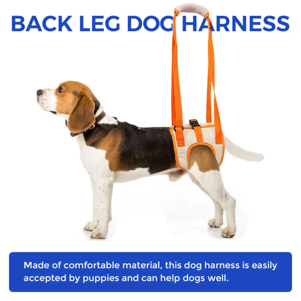 Dog Hind Leg Harness02
