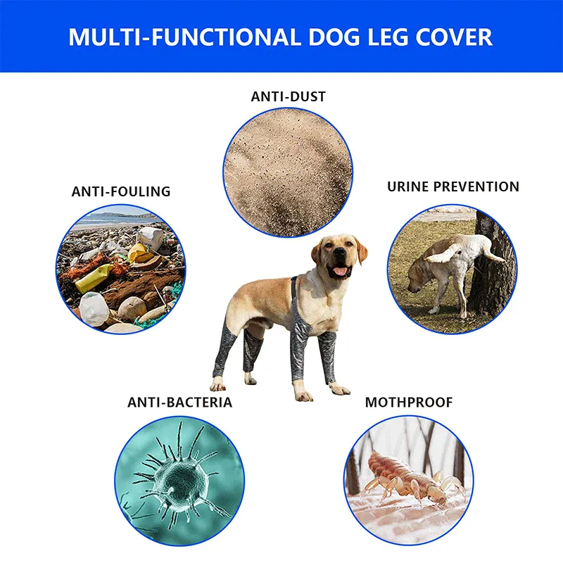 Dog Leg Brace for Anti-Lick05