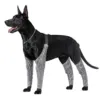 Dog Leg Brace for Anti-Lick