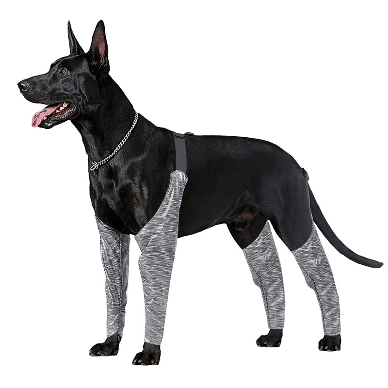 Dog Leg Brace for Anti-Lick01