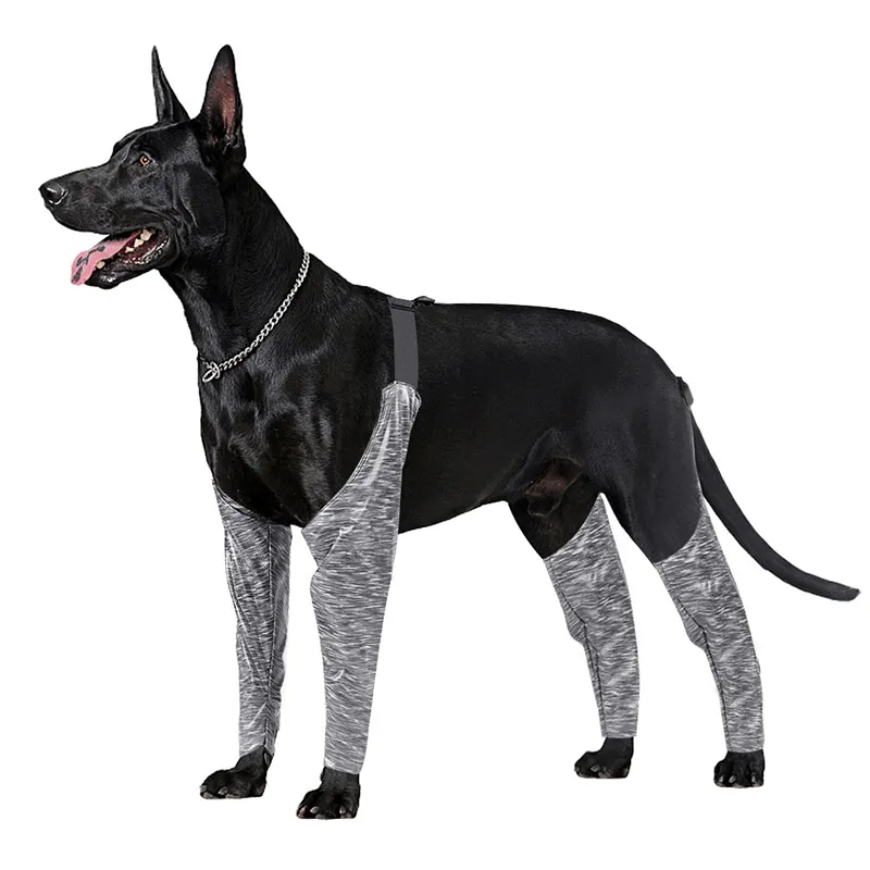 Dog Leg Brace for Anti-Lick01