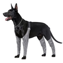 Dog Leg Brace for Anti-Lick01