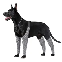 Dog Leg Brace for Anti-Lick01
