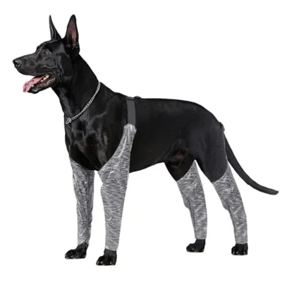 Dog Leg Brace for Anti-Lick 02