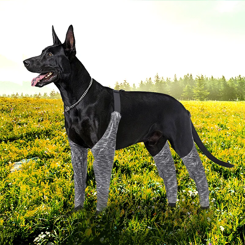 Dog Leg Brace for Anti-Lick08