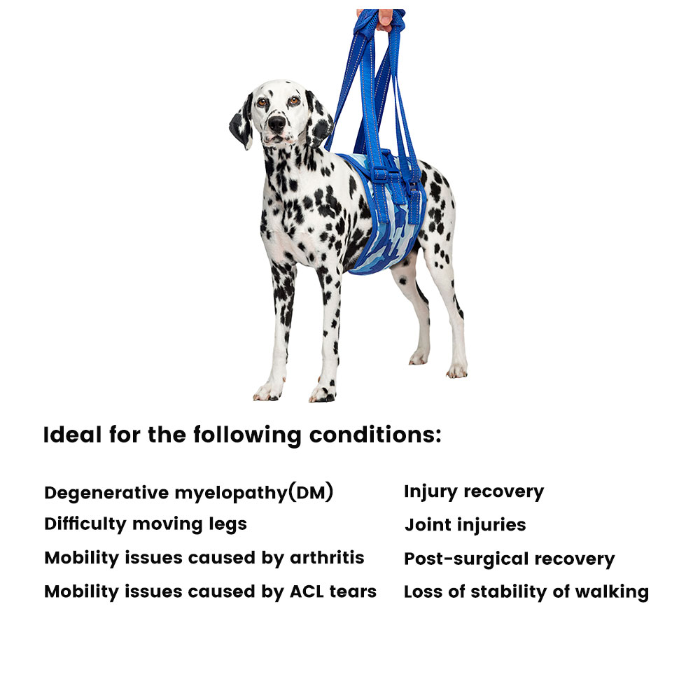 Dog Mid-bodyLift Harness（Medium / Large）05